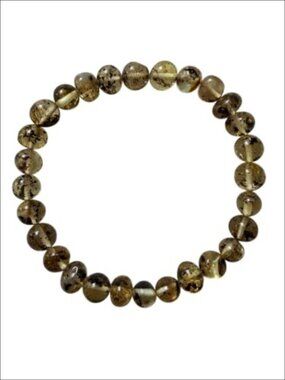 Natural Baltic Amber Bracelet Fossil Clear Adult Stretch 7.9 in